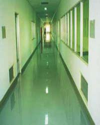 �h������ƺ����չʾ